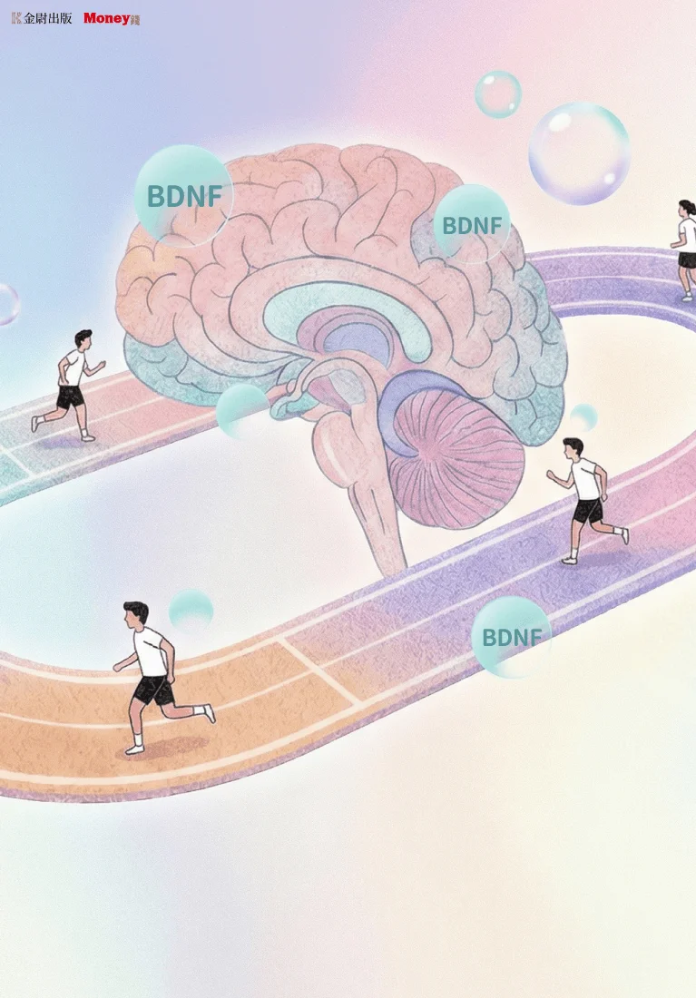 樊登說書《運動改造大腦》
